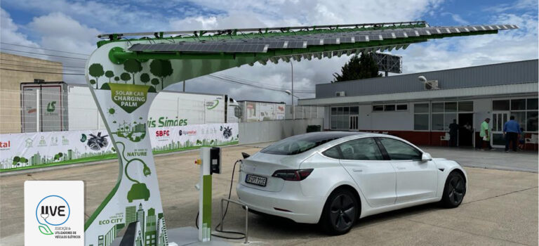 A “palmeira solar” Solar Car Charging Palm, uma solução inovadora para carregar veículos elétricos
